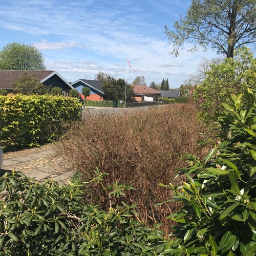 disquiet0436 Sirene May 6th 2020 At Noon