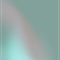 ver.5