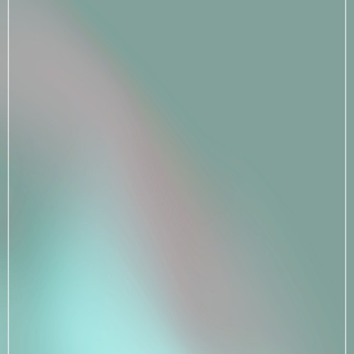 ver.5