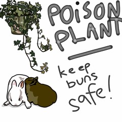 Poisonous Plants For Rabbits!