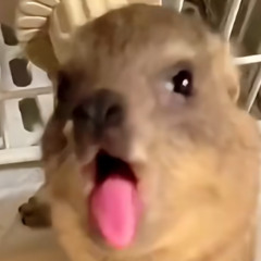 iti