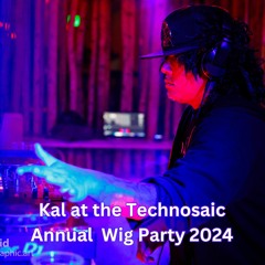 Kal at the Technosaic Annual Wig Party 2024