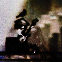 yelir - you live once so die later