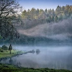 Tranquility w cello