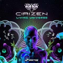 CiriZen - What Can I Do
