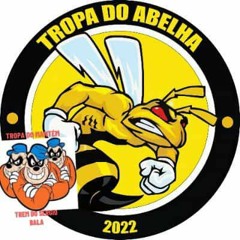 MC COPINHO ANIVERSÁRIO DO FOFAO DO GRAO PARA 🦜🚩🥋