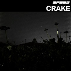 Crake | SPEED 速度 | 010