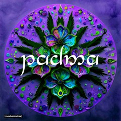 PREMIERE : Räubermukke • Padma