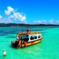 Review Special Price Tobago Buccoo Reef Glass Bottom Boat Tour