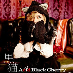 黒猫 acid black cherry