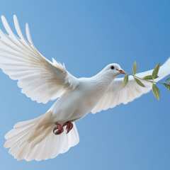 The hwole wold is fre