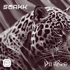 DeemZoo-Shaguar (soakk remix)