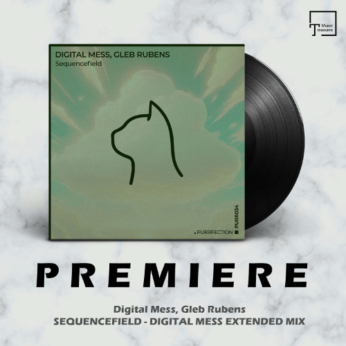 PREMIERE: Digital Mess, Gleb Rubens - Sequencefield (Digital Mess Extended Mix) [PURRFECTION]