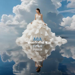 Wonderful U (HAU Remix)
