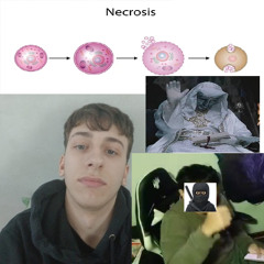 Necrosis (Demo)