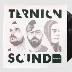 Ternion Sound - DUPPLATES Vol. 2