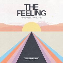 01 Riva Starr Feat. Gavin Holligan - The Feeling (Extended Mix)