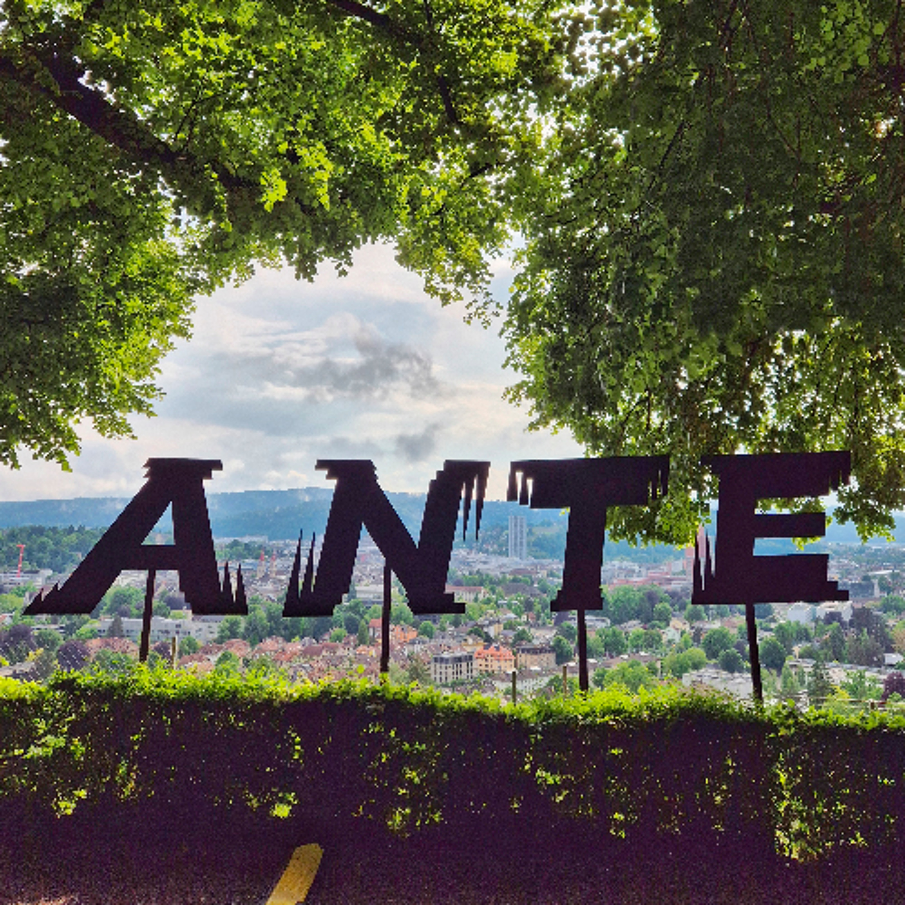 ANTE – Zwischen den Ästen abtanzen (23.05.) episode artwork