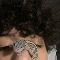 My favorite dinosaur 🦕 ##Stain