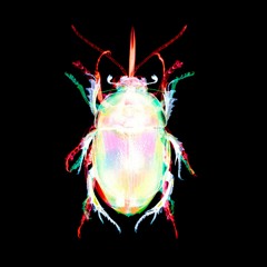 DJ Indigo presents Invasion Of The Subterranean Disco Bugs