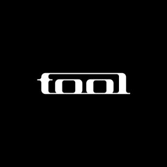 TOOL - Pneuma (SLOWED + Reverbed).mp3