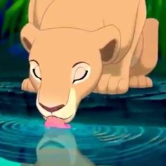 ANIMAL NYC DAYTIME SET - 6HRS 8.30.25