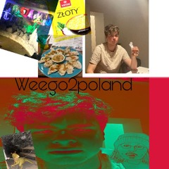 Weego2poland (Feat. thinkingdogman, DylDog)