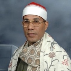 سورة فصلت / عبدالفتاح الطاروطي