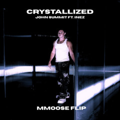Crystallized - John Summit (mmoose flip)