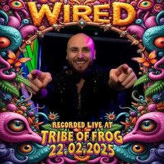DJ Wired - Tribe of Frog | Feb 2025