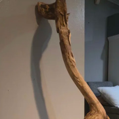 Happiest Daze || Charm Jingle || V2