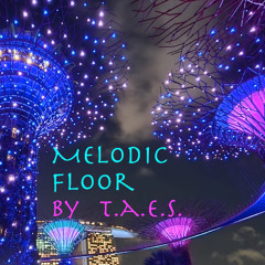 Melodic Floor (2025)