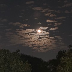 19 Feels Like June 2025