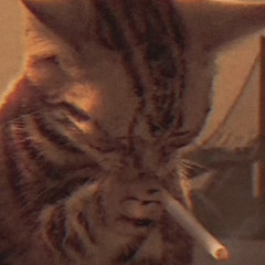 Your likes from Spotify - 2