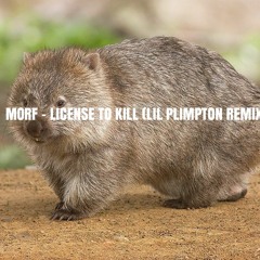MORF - LICENSE TO KILL (LIL PLIMPTON REMIX)