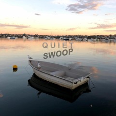 Quiet Swoop (Varse Mashup) - Bakradze Vs. Weval