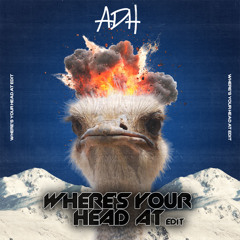 Where's Your Head At (EDIT)