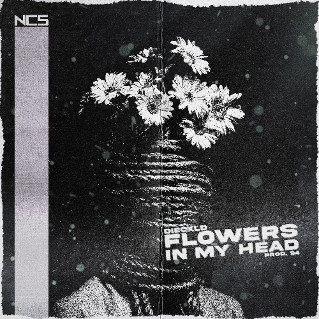 Stream DIECXLD, Prod. 94 - flowers in my head [NCS Release] by NCS