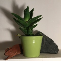 Jeden Tag (prod. Kellerbeats by Eisi)