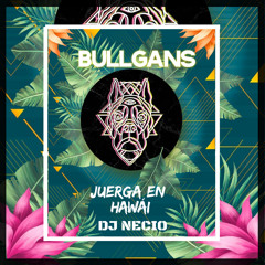 Dj Necio - Juerga En Hawai (Bullgans Mix)