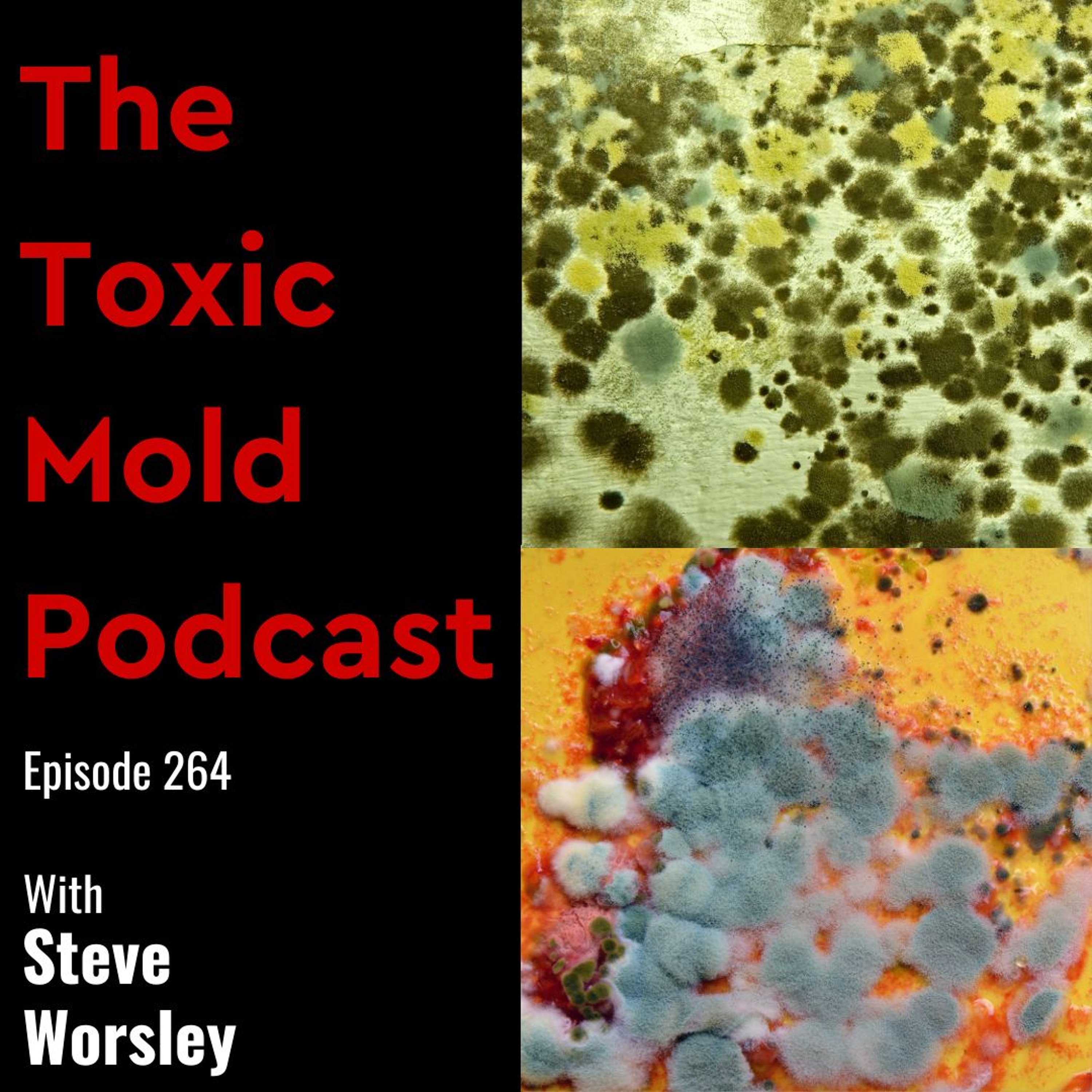 The Toxic Mold Podcast