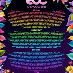 Vintage Culture b2b Solardo @ cosmicMEADOW, EDC Las Vegas, United States 2021-10-22