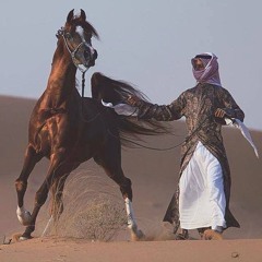 Arabic 808 Special Beat 1 by Amrii's Studio | Produced by Amir Amrii | 2024