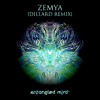 Entangled Mind & Amalgamy - Zemya (Dillard Remix)
