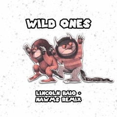 Flo Rida ft. Sia Wild Ones (Lincoln Baio & NAWMS Remix)