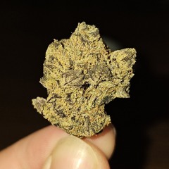 L€AK - Dietrich | Demon