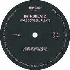 Intr0beatz ‘More Cowbell Please’