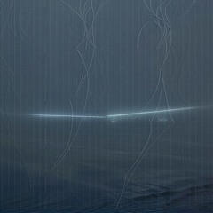 SER002 // VA : COLLAGE
