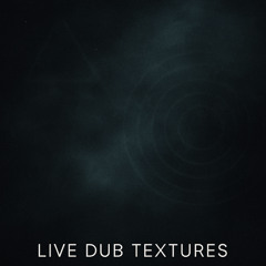 2wice Shye Improvised Frequencies Live Dub textures