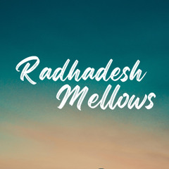 HH Krishna Kshetra Swami - Day 1 - Radhadesh Mellows 2025 - 1.24.2025